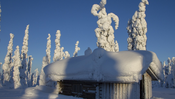 Von Schneemobil-Safaris bis zu Gletscherwanderungen